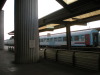 DSCN3910