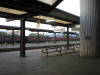 DSCN3915
