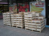 DSCN3924