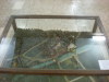DSCN4143