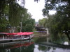 DSCN4338