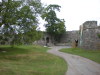 DSCN4369