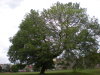 DSCN4371