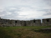 DSCN4382