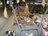 DSCN4401