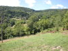 DSCN4459