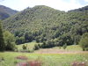 DSCN4460