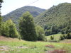 DSCN4461