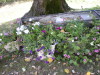 DSCN4469