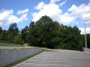 DSCN4533