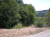 DSCN4534