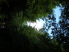 DSCN4539