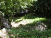 DSCN4541
