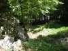 DSCN4542