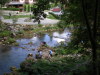 DSCN4546