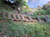 DSCN4547