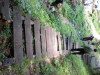 DSCN4548