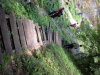 DSCN4549