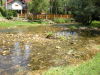 DSCN4551