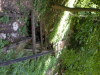 DSCN4557