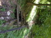 DSCN4558