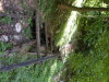 DSCN4559