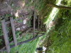 DSCN4560