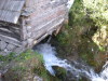 DSCN4567