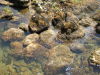 DSCN4570