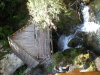 DSCN4574