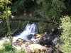 DSCN4579