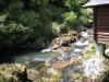 DSCN4580