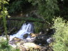 DSCN4581