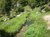 DSCN4582