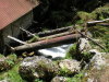 DSCN4587