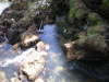 DSCN4591