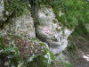 DSCN4593