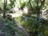 DSCN4595