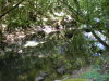 DSCN4596