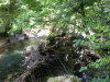 DSCN4598