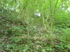 DSCN4601