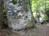 DSCN4602
