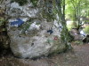 DSCN4603