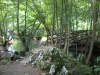 DSCN4604
