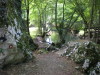 DSCN4605