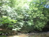 DSCN4608