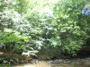 DSCN4609