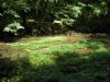 DSCN4610