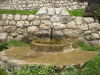 DSCN4628