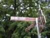 DSCN4693